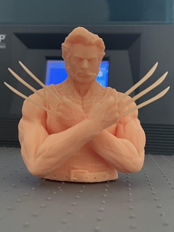 Anycubic Photon Ultra Review - Wolverine Test Print Success 2 - 3D Printerly