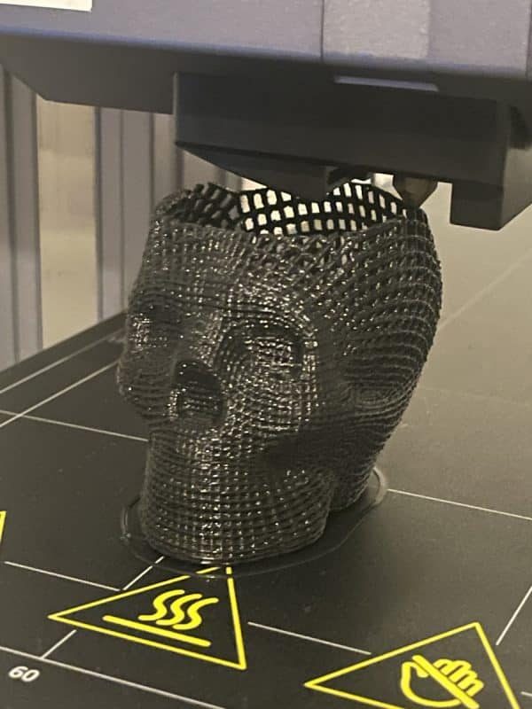 Snapmaker 2.0 A350 Review - Skull Art File Printing - 3D Printerly