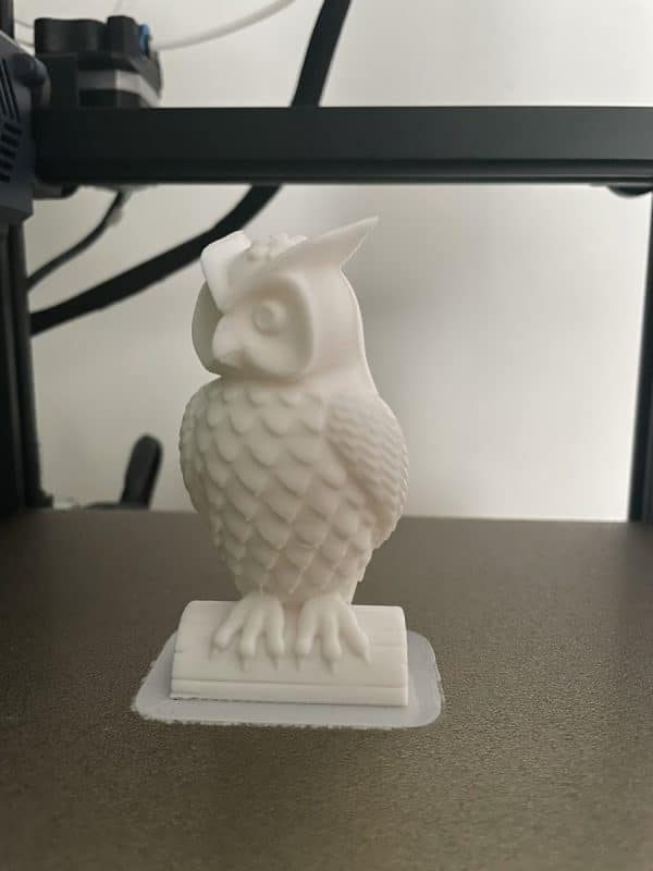 Anycubic Kobra Go Review - Anycubic Owl Test Print - 3D Printerly