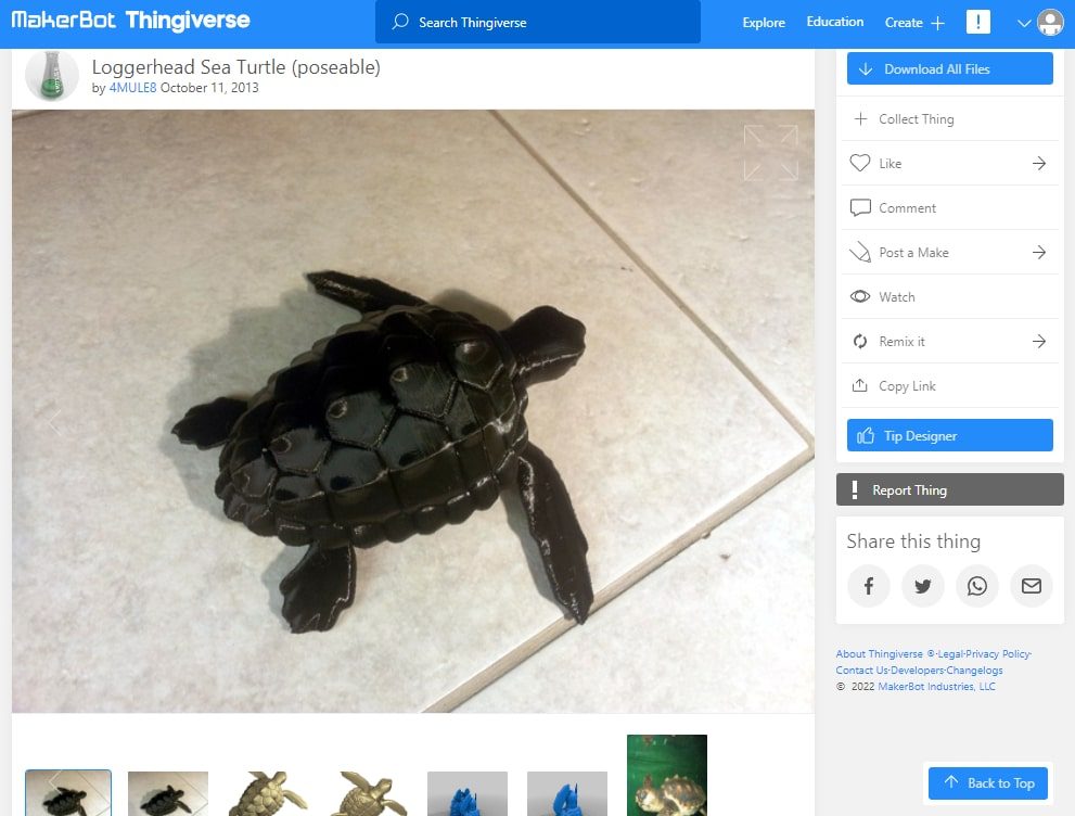 30 Best High Resolution 3D Prints - 8. Loggerhead Sea Turtle - 3D Printerly