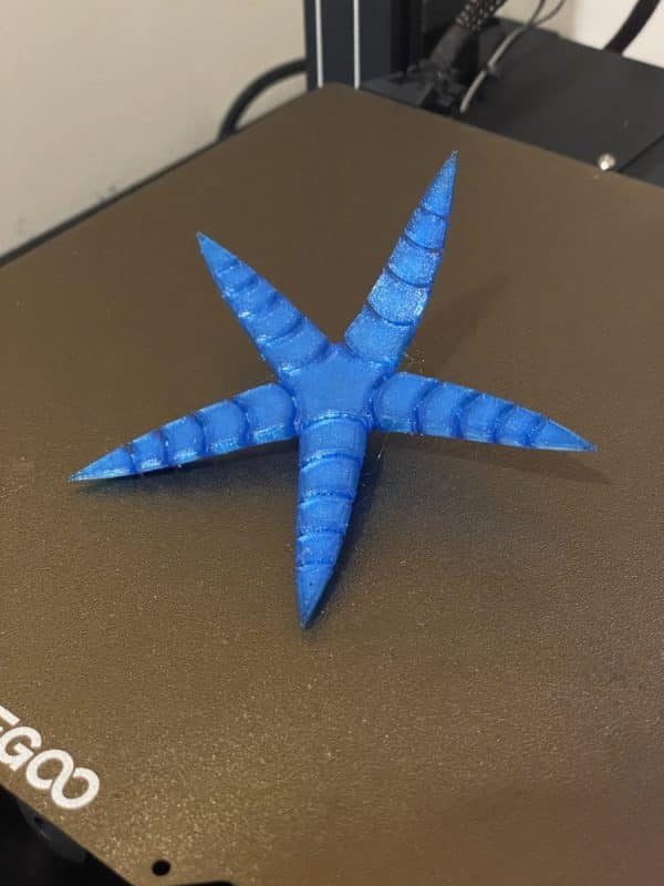 Elegoo Neptune 3 Pro Review - TPU Starfish - 3D Printerly