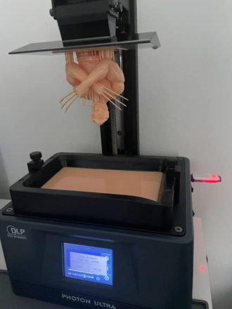 Anycubic Photon Ultra Review - Wolverine Test Print Success 1 - 3D Printerly