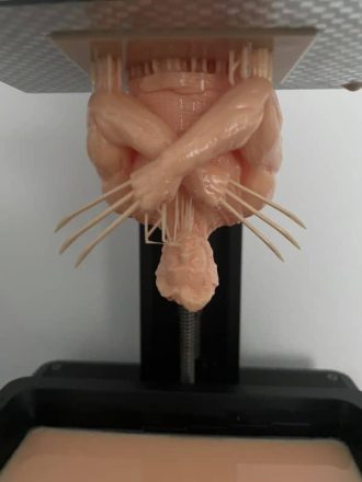 Anycubic Photon Ultra Review - Wolverine Test Print Success - 3D Printerly